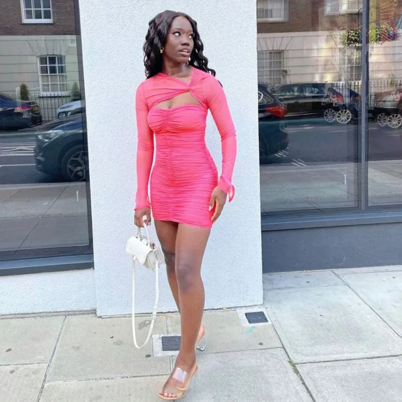 Long Sleeve Mini Dress