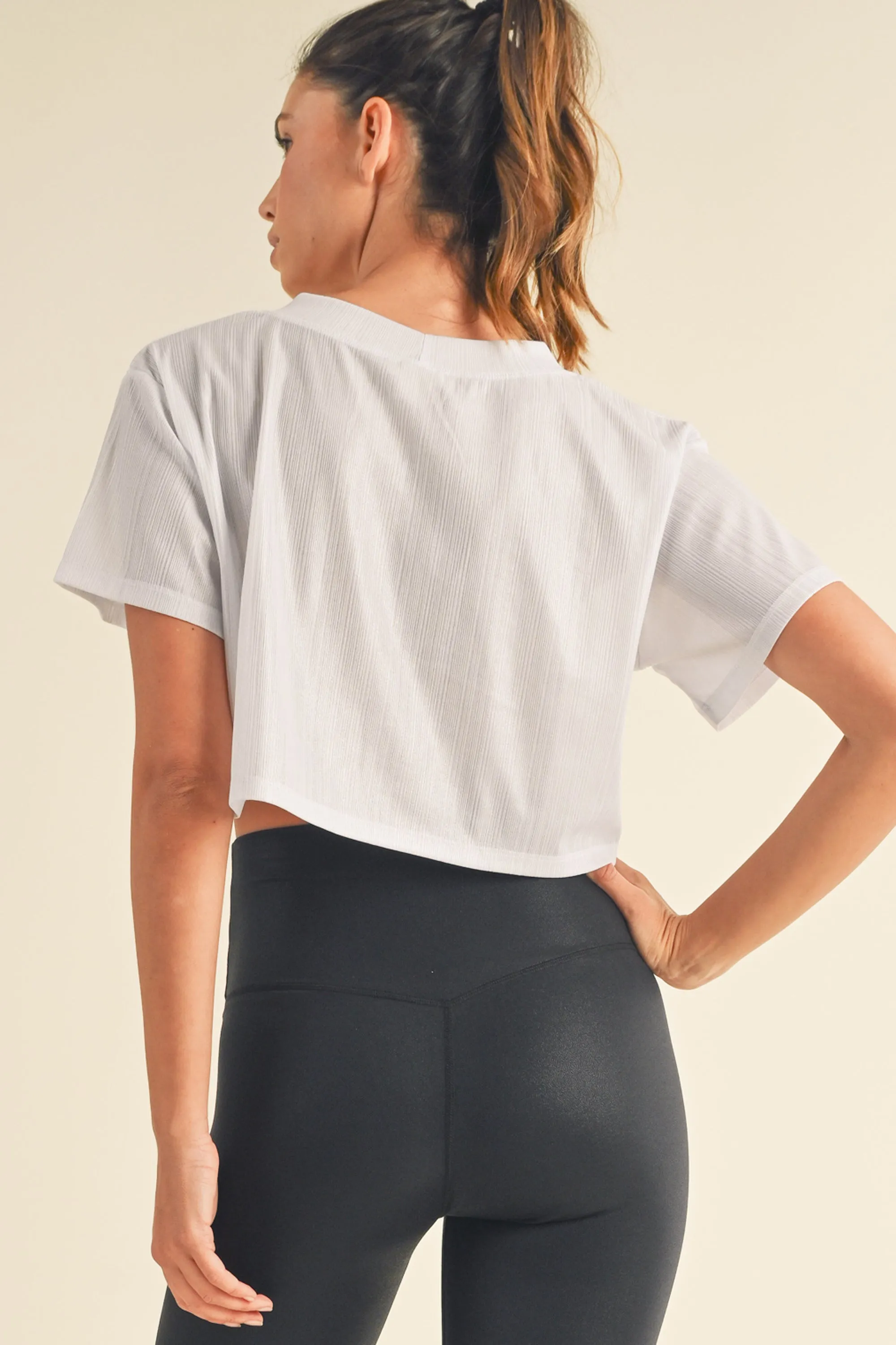 Shimmery Short Sleeve Crop Top