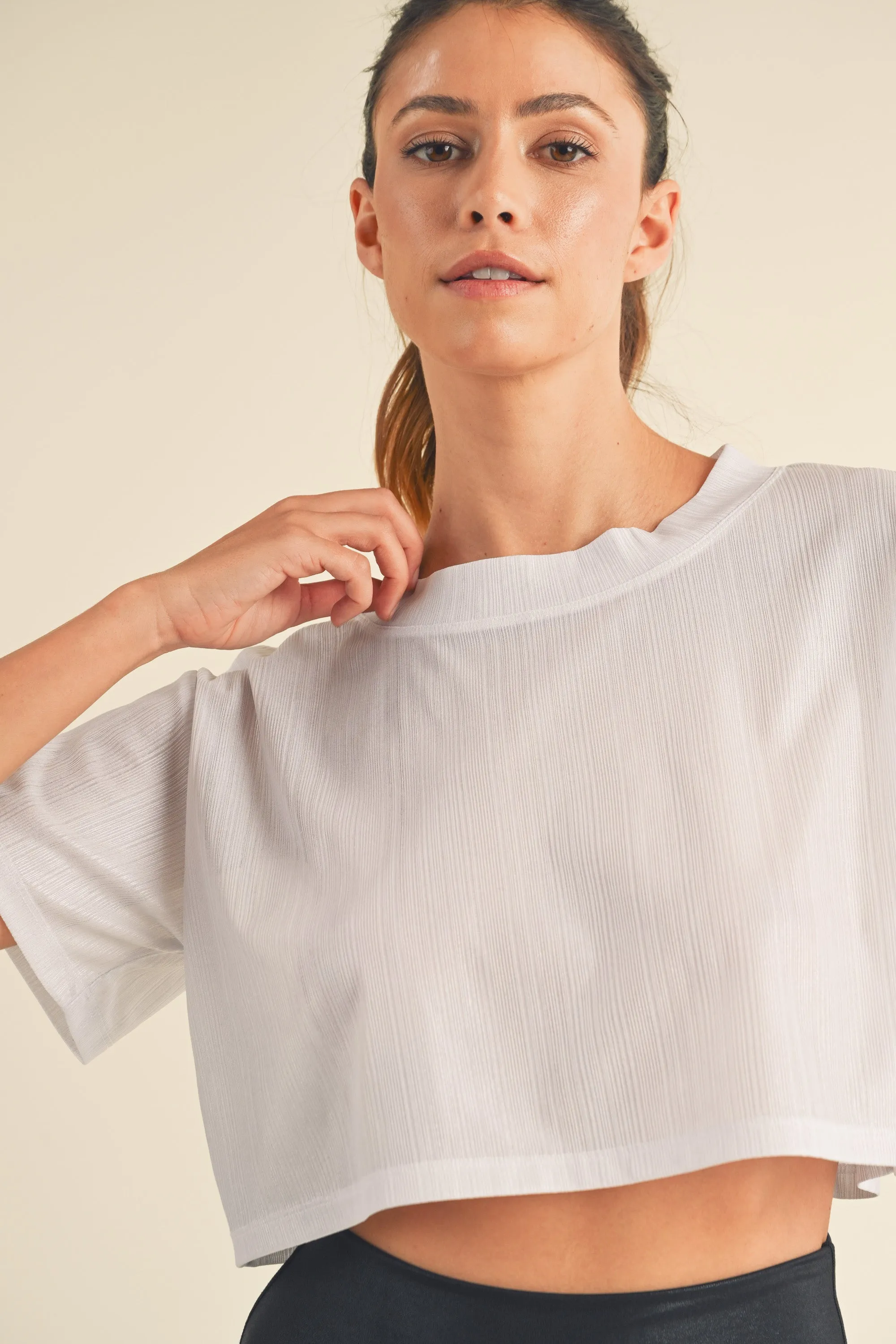 Shimmery Short Sleeve Crop Top