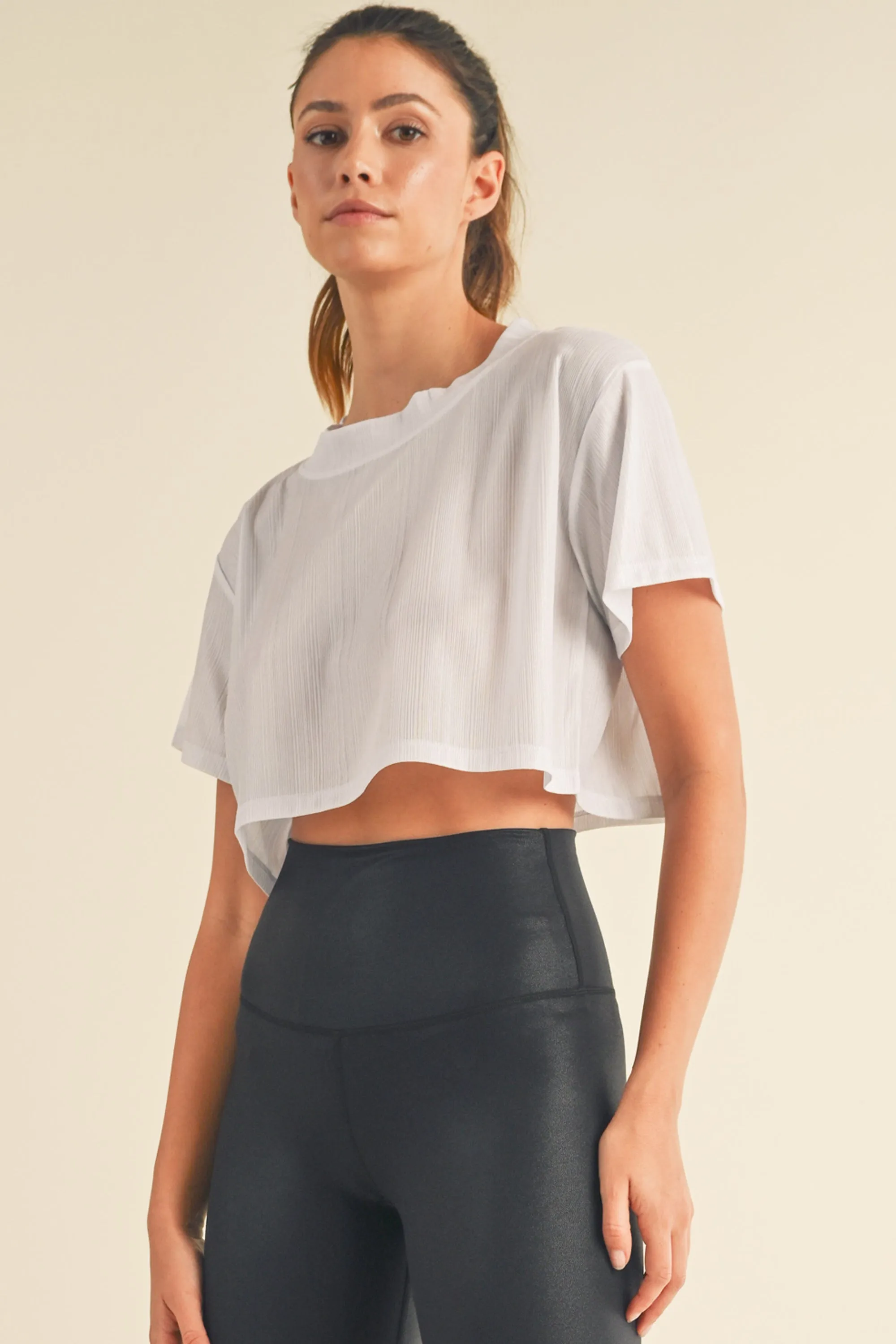 Shimmery Short Sleeve Crop Top